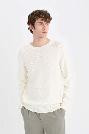 DeFacto Standart Fit Bisiklet Yaka Triko Kazak E6990AX24WNER100