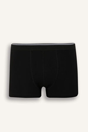 Hayvan Baskılı 3'lü Boxer