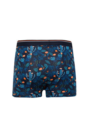 DeFacto Regular Fit Floral 3'lü Boxer E2923AX25SPNV135