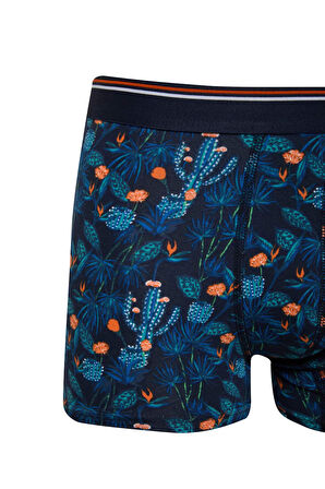 DeFacto Regular Fit Floral 3'lü Boxer E2923AX25SPNV135
