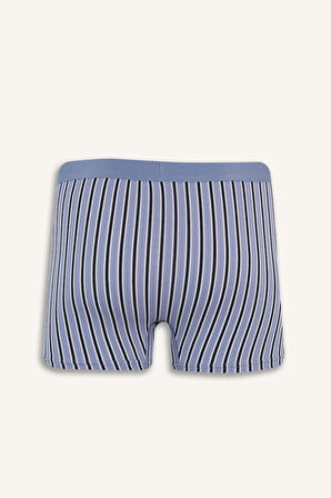 DeFacto Regular Fit Çizgili 3'lü Boxer E7203AX25SMNV135