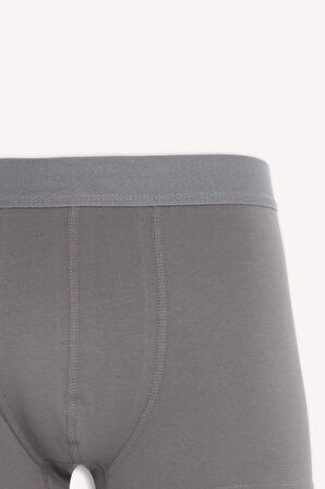 DeFacto Regular Fit 3'lü Boxer E7207AX25SMNV42