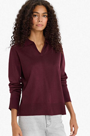 Regular Fit Polo Yaka Kazak