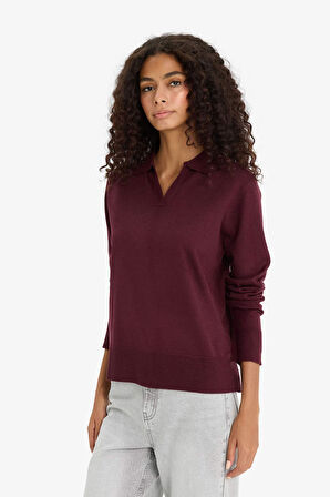 Regular Fit Polo Yaka Kazak