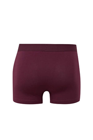 DeFacto Erkek 3'lü Boxer E0023AX24WNPR102