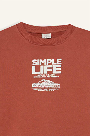 DeFacto Erkek Çocuk Bisiklet Yaka Baskılı İçi Yumuşak Tüylü Sweatshirt D6209A824CWBN536