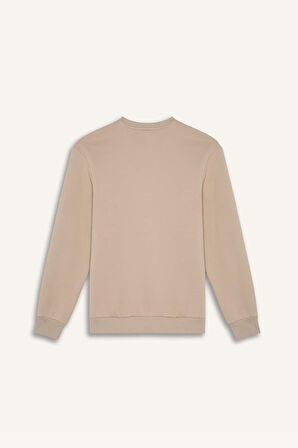 DeFacto Regular Fit Bisiklet Yaka Kalın Basic Düz Sweatshirt T3777AZ25SPBG735