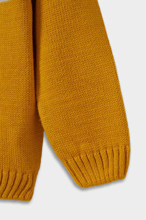 Erkek Bebek Bisiklet Yaka Renk Bloklu Kazak