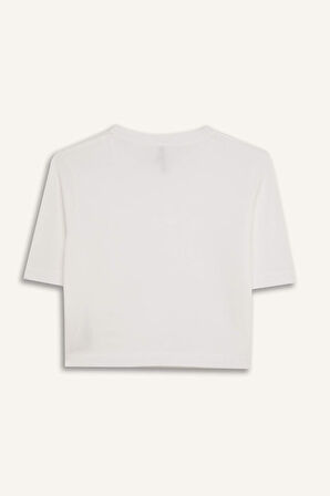 Regular Fit Bisiklet Yaka Kazak