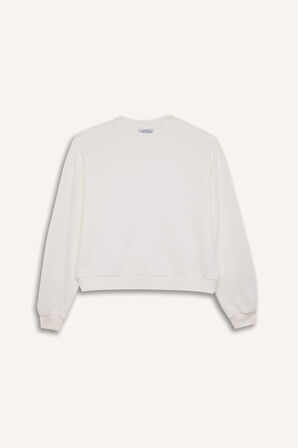 DeFacto Regular Fit Bisiklet Yaka Kalın Basic Düz Sweatshirt D6645AX24WNWT32