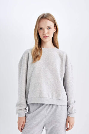 DeFacto Regular Fit Bisiklet Yaka Kalın Basic Düz Sweatshirt D6645AX24WNGR296