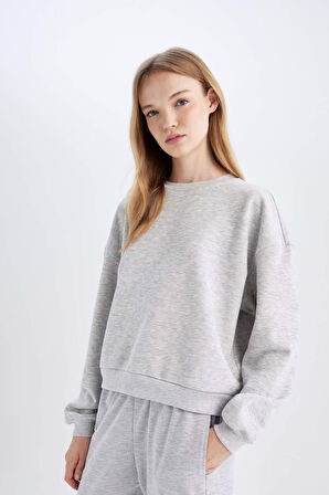 DeFacto Regular Fit Bisiklet Yaka Kalın Basic Düz Sweatshirt D6645AX24WNGR296