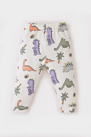 DeFacto Erkek Bebek Pijama Takımı Dinazor Baskılı Uzun Kollu Üst Beli Lastikli Uzun Alt D9070A525SPWT47