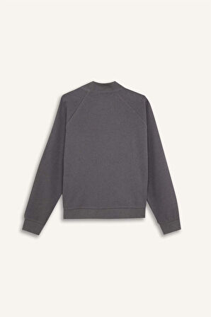 DeFacto Oversize Geniş Kalıp Basic Düz Kanguru Cepli Fermuarlı Polo Yaka Sweatshirt E0741AX24WNAR191