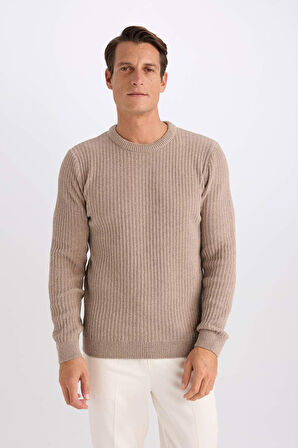 DeFacto Standart Fit Bisiklet Yaka Dokulu Triko Kazak E0811AXNSBG224