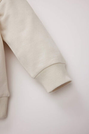 DeFacto Erkek Bebek Bisiklet Yaka Baskılı Sweatshirt D8580A525SPER105