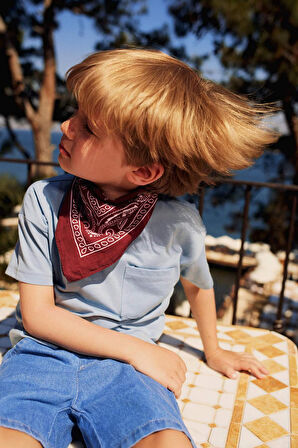 Erkek Bebek Bisiklet Yaka Basic Düz Kısa Kollu Tişört