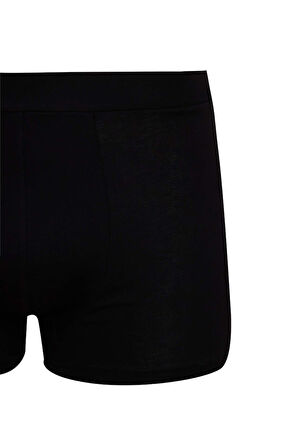 DeFacto Premium Regular Fit Boxer E3202AX24AUBK81