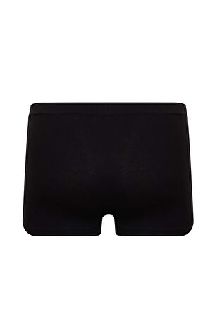 DeFacto Premium Regular Fit Boxer E3202AX24AUBK81