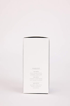 Erkek DeFacto Navy Aromatik 50 ml Parfüm