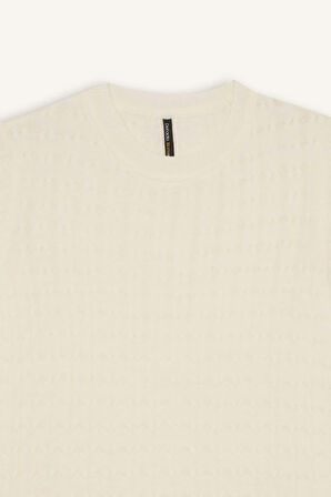 Gri Regular Fit Bisiklet Yaka Saç Örgülü Kısa Kollu Kazak