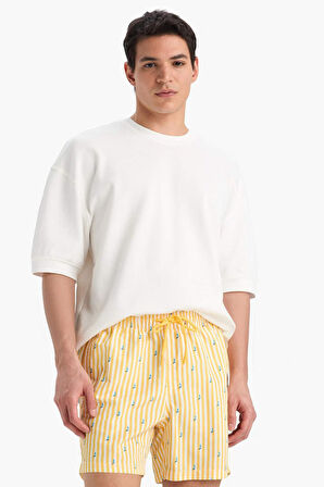 DeFacto Çizgili File Astarlı Kısa Boy Deniz Şortu E0950AX25HSYL190