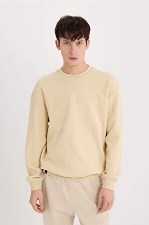 DeFacto Boxy Fit Bisiklet Yaka Pike Sweatshirt E1519AX25SPBG155