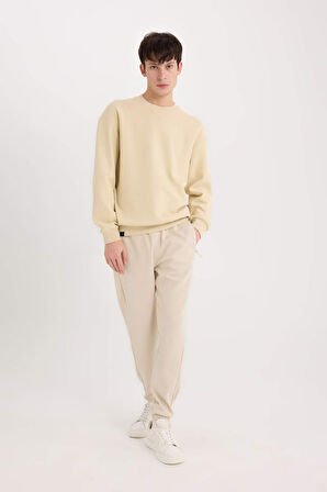 DeFacto Boxy Fit Bisiklet Yaka Pike Sweatshirt E1519AX25SPBG155
