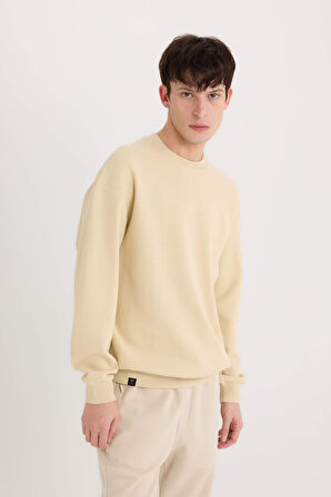 DeFacto Boxy Fit Bisiklet Yaka Pike Sweatshirt E1519AX25SPBG155