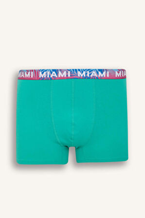 DeFacto Regular Fit 3'lü Boxer D9874AX25SPNV135