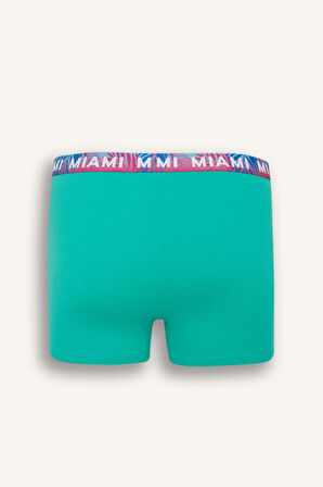 DeFacto Regular Fit 3'lü Boxer D9874AX25SPNV135