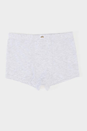 DeFacto Erkek Çocuk Desenli 3'lü Boxer E6873A825SPWT34