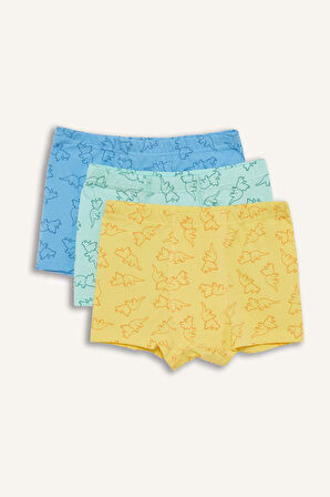 DeFacto Erkek Çocuk Desenli 3'lü Boxer E6877A825SPYL79