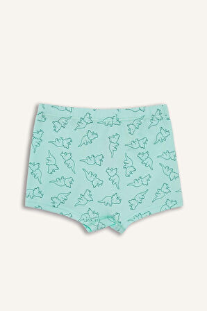 DeFacto Erkek Çocuk Desenli 3'lü Boxer E6877A825SPYL79