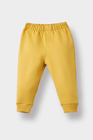 Erkek Bebek 2'li Takım Dinazor Baskılı Sweatshirt Eşofman Altı