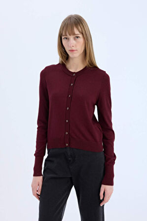 Regular Fit Bisiklet Yaka Hırka