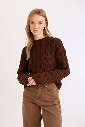 Coool Regular Fit Bisiklet Yaka Kazak