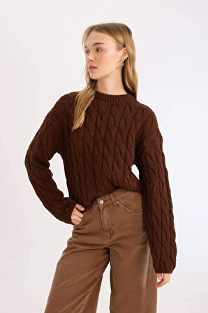 Coool Regular Fit Bisiklet Yaka Kazak