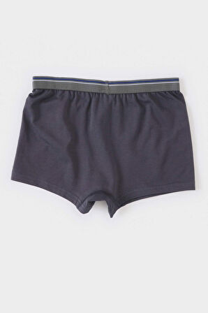 DeFacto Erkek Çocuk 3'lü Boxer E1579A825SPBE331