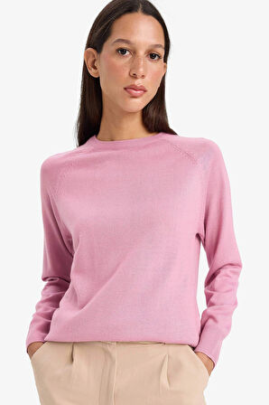 Defacto I6913 Pembe Relax Fit Bisiklet Yaka Basic Düz Triko Kazak