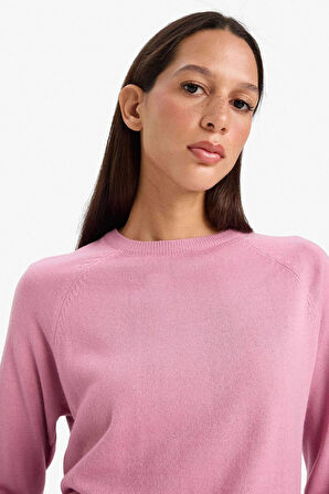 Defacto I6913 Pembe Relax Fit Bisiklet Yaka Basic Düz Triko Kazak