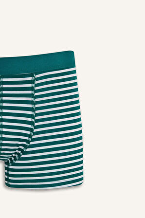 Regular Fit Çizgili 3'lü Boxer