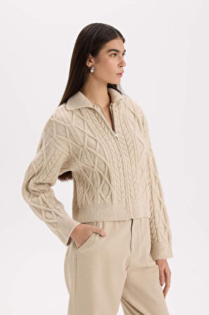 DeFacto Regular Fit Polo Yaka Fermuarlı Triko Hırka D9160AX24WNER99