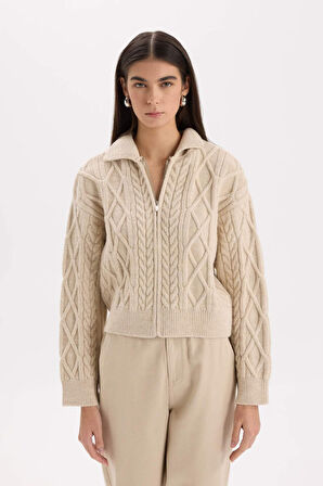 DeFacto Regular Fit Polo Yaka Fermuarlı Triko Hırka D9160AX24WNER99