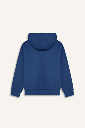 DeFacto Erkek Çocuk Kapüşonlu Kanguru Cepli Baskılı Sweatshirt D7713A825SPIN27