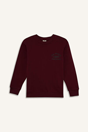 Erkek Çocuk Bisiklet Yaka Basic Düz İçi Yumuşak Tüylü Sweatshirt