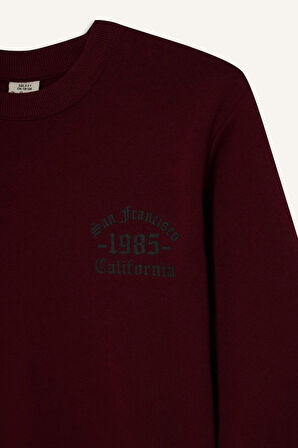 Erkek Çocuk Bisiklet Yaka Basic Düz İçi Yumuşak Tüylü Sweatshirt