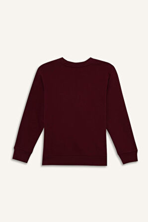 Erkek Çocuk Bisiklet Yaka Basic Düz İçi Yumuşak Tüylü Sweatshirt