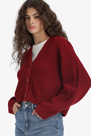 Regular Fit V Yaka Hırka