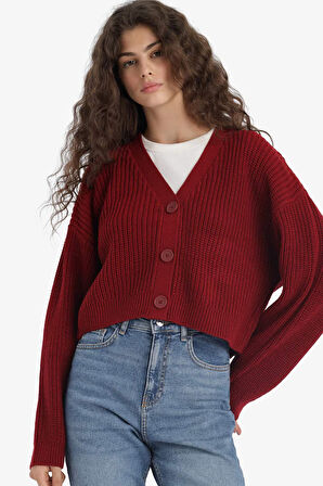 Regular Fit V Yaka Hırka